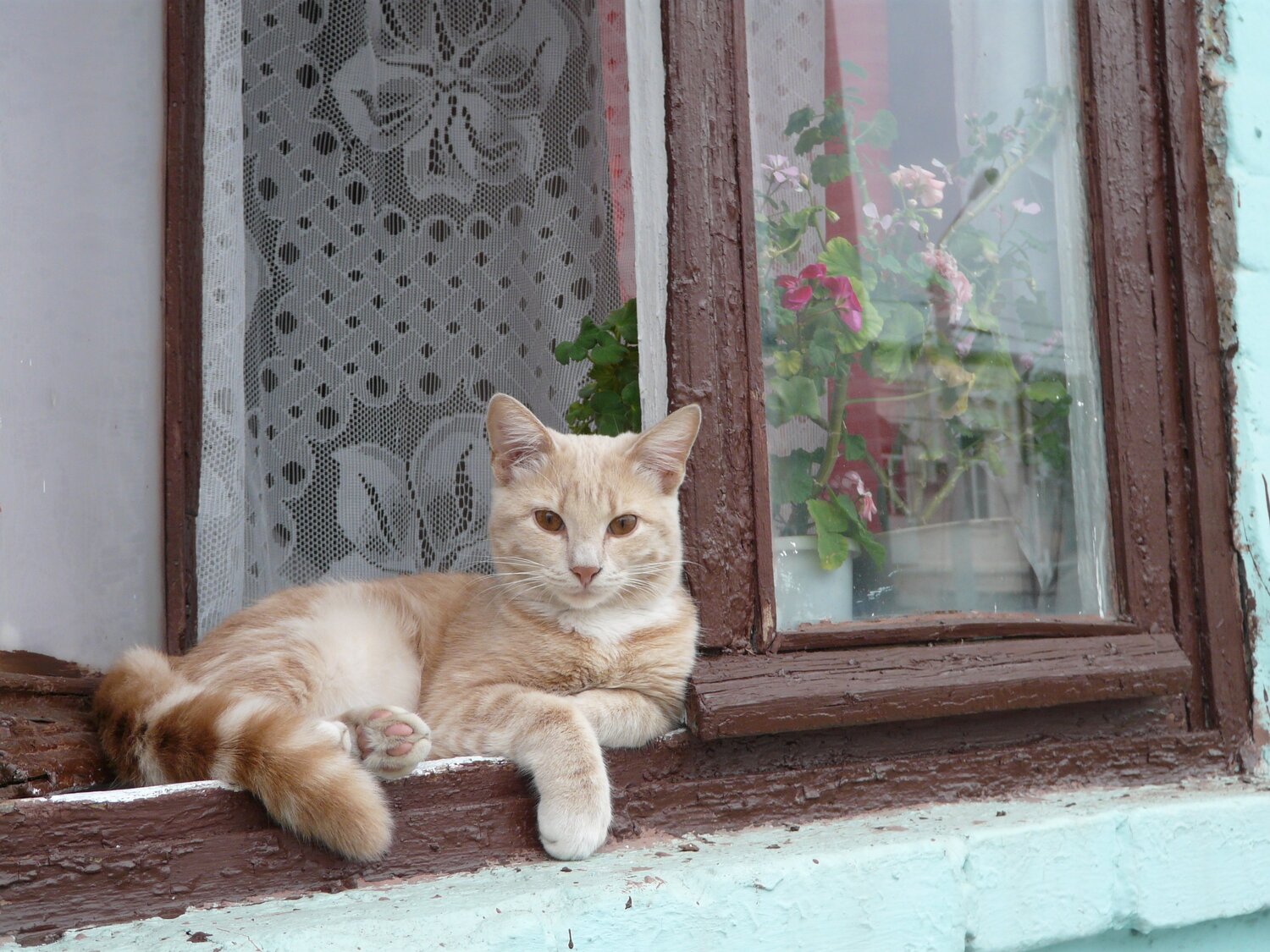 Photo #3612041