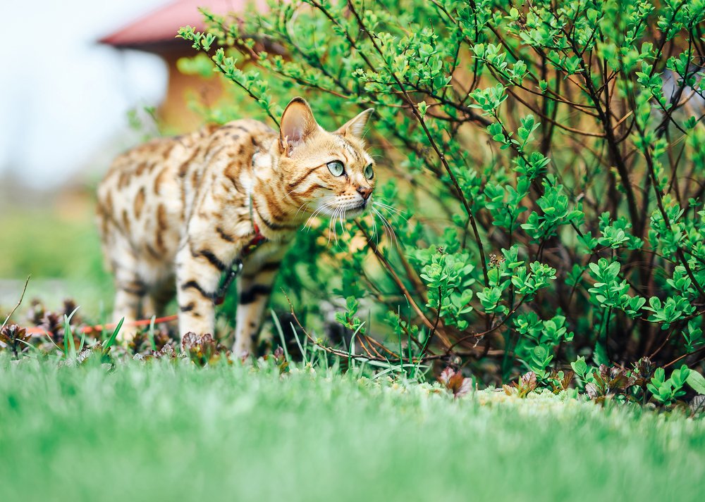 Photograph by Алексей Петрученя