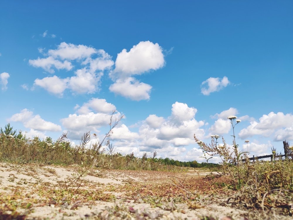 Photograph by Ксения Щербакова