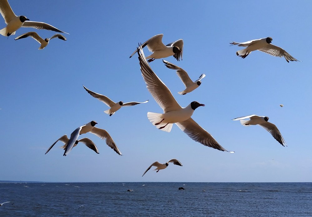 Photograph by Екатерина Бевзенко