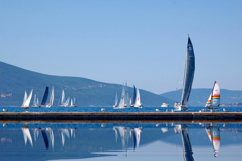 Photograph by Zoran Nikolic