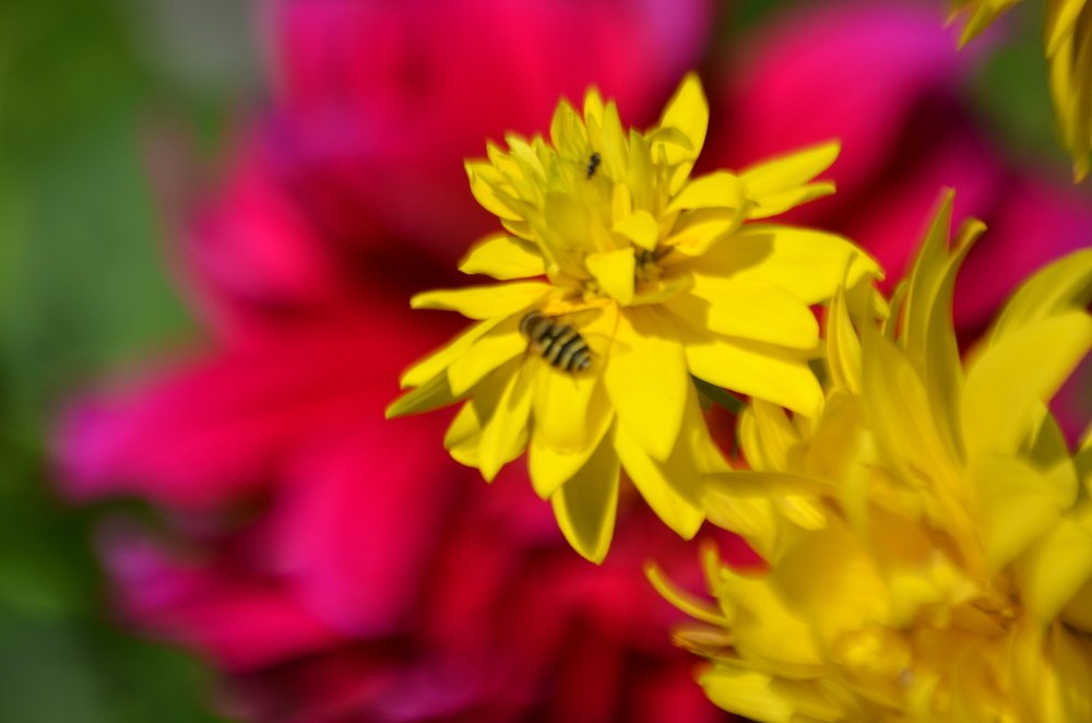 Photograph by Valentina