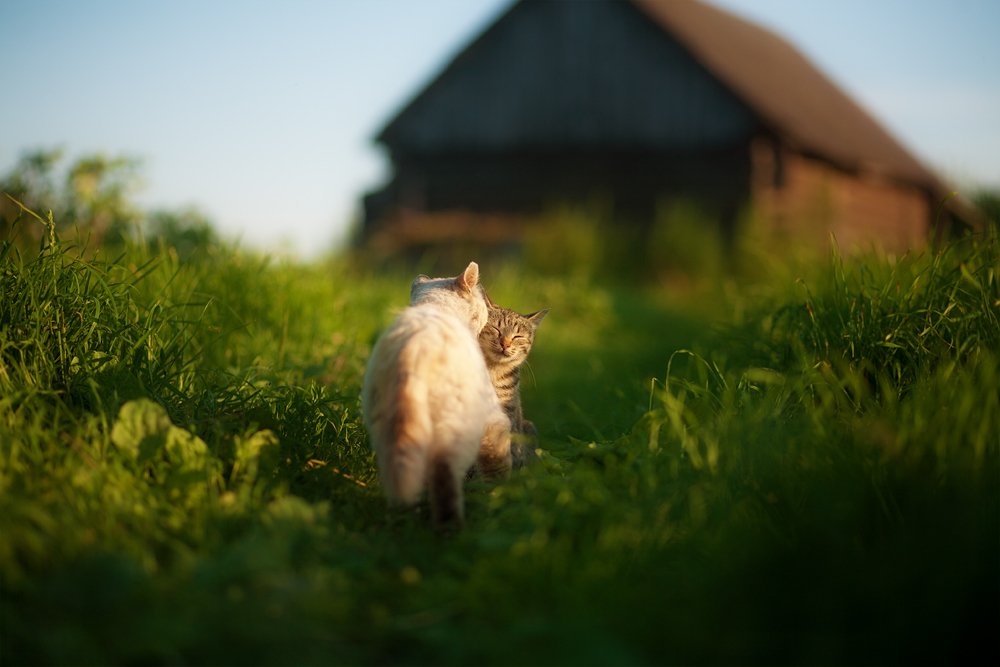 Photograph by Юлия