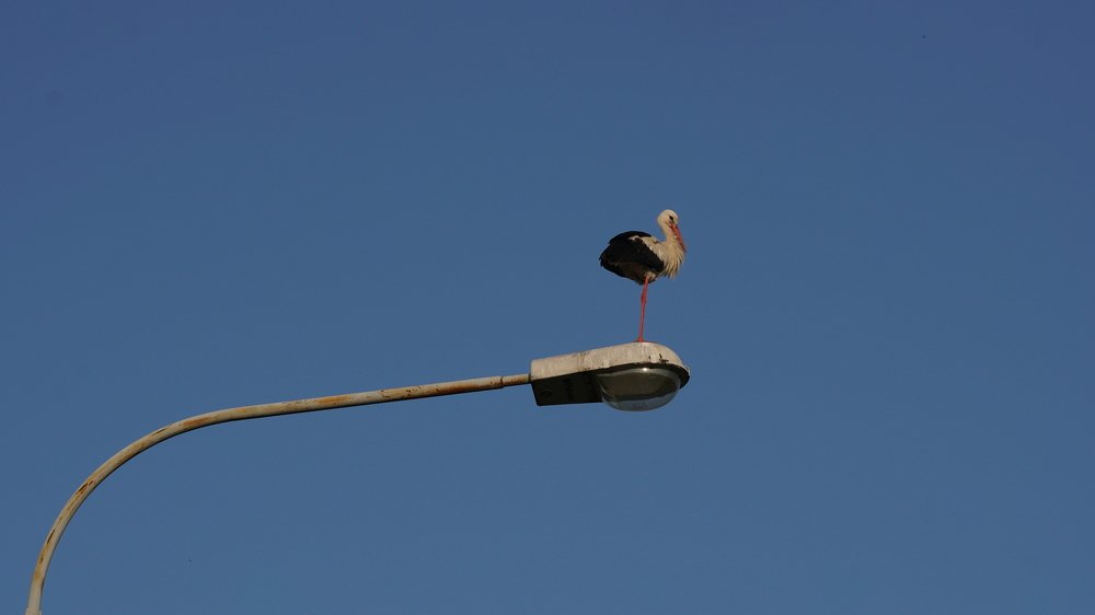 Photograph by Андрей Шартов