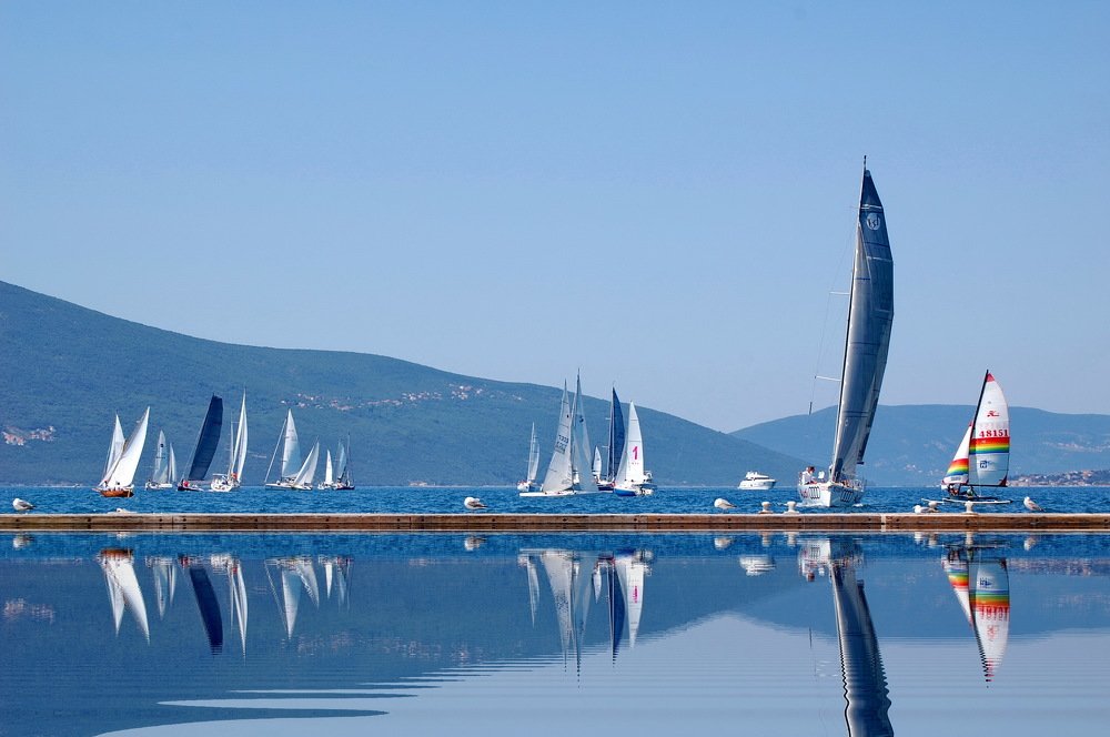 Photograph by Zoran Nikolic