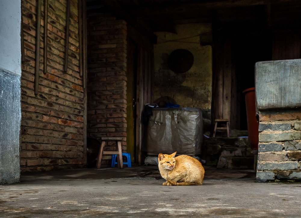 Фотография автора Maurice Leung