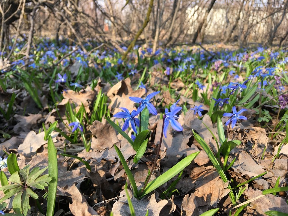 Photograph by Дмитрий Долгов