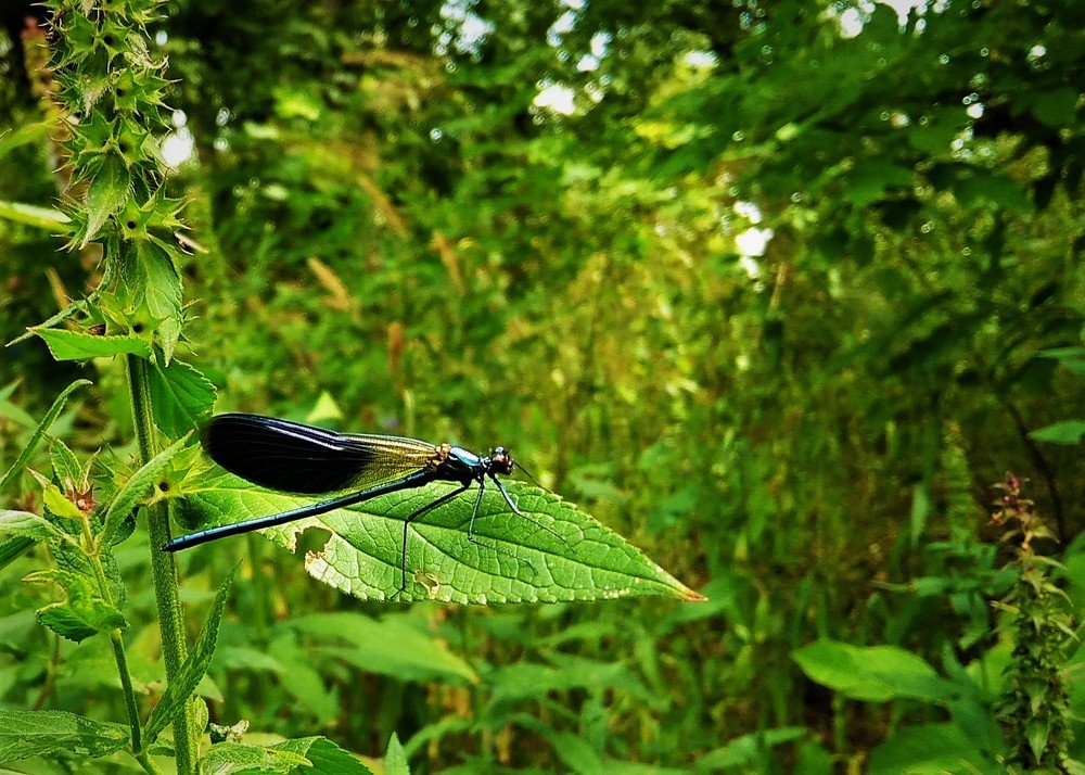 Photograph by Владимир