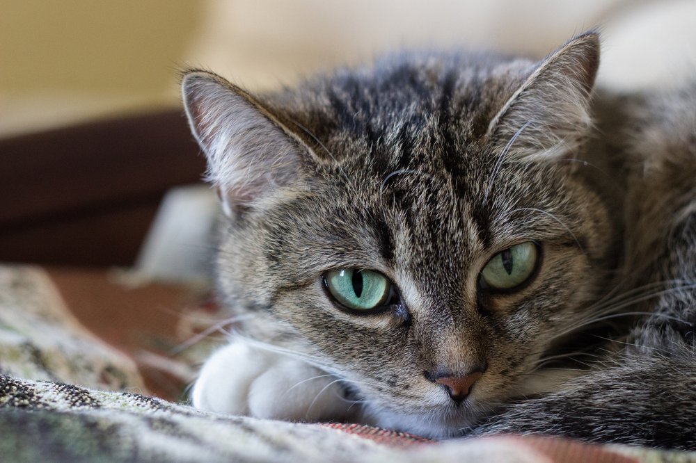 Photograph by Дмитрий Долгов