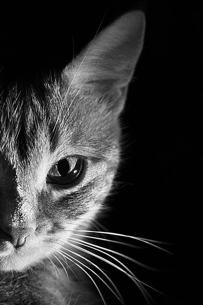 Photograph by Александра Литвиненко