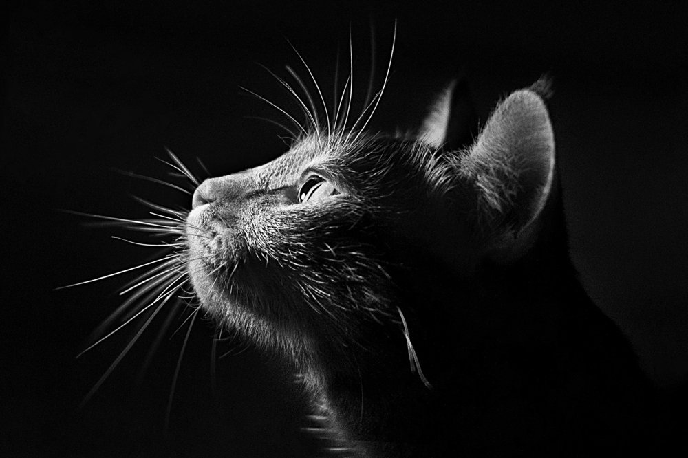 Photograph by Александра Литвиненко