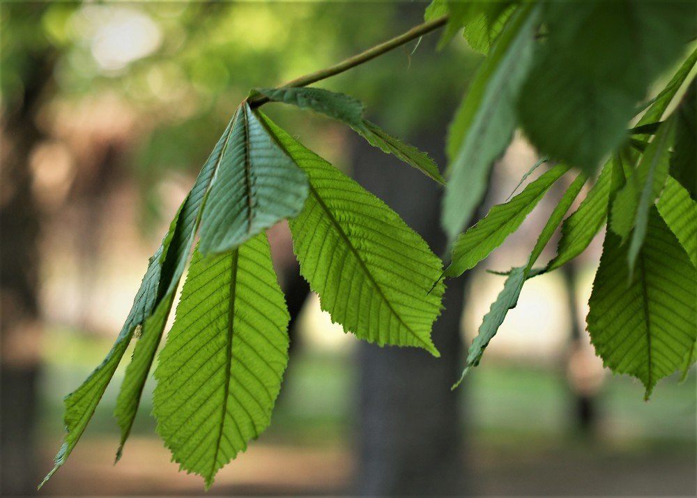 Photograph by Владимир