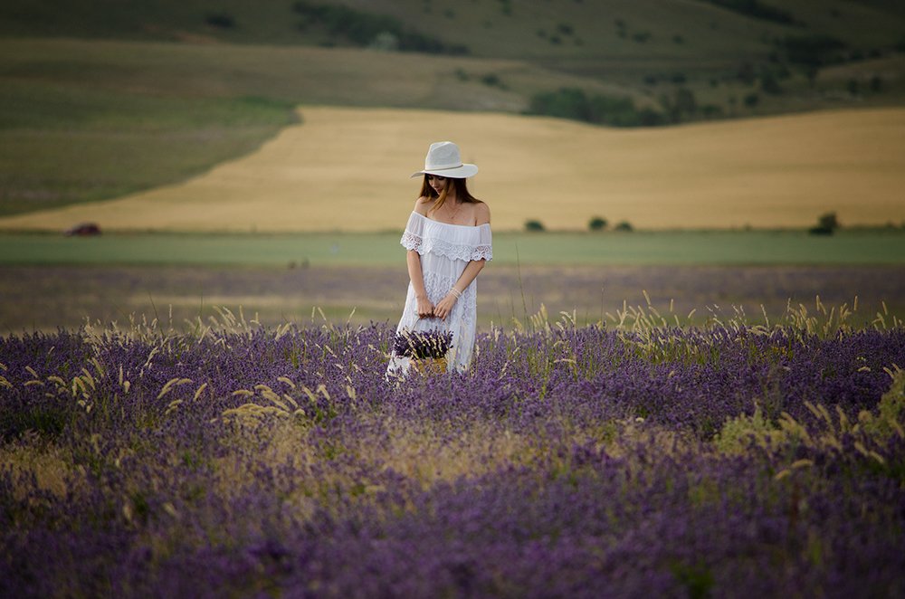 В аромате лаванды