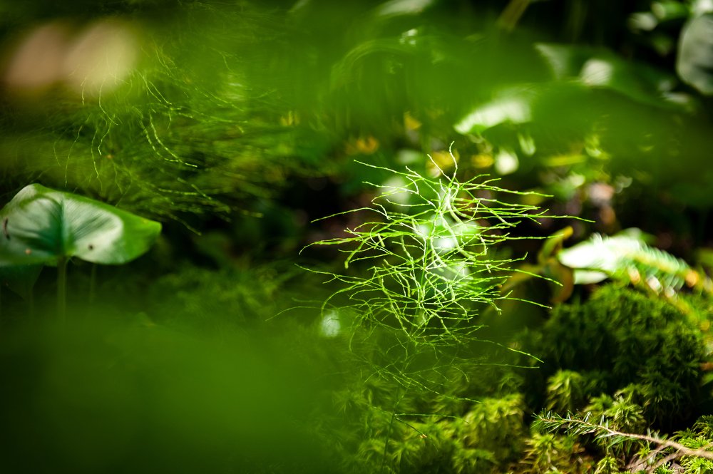 Photograph by Евгений Балухин