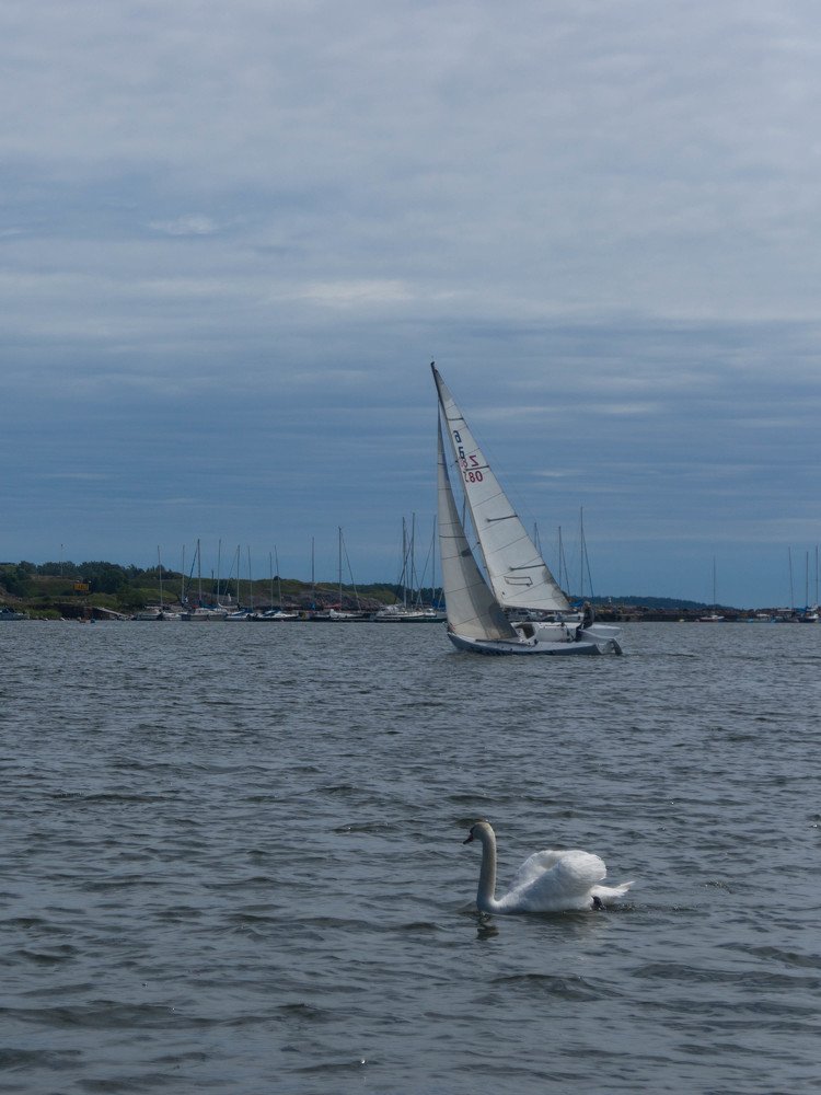 Photograph by Айгуль Гайфуллина