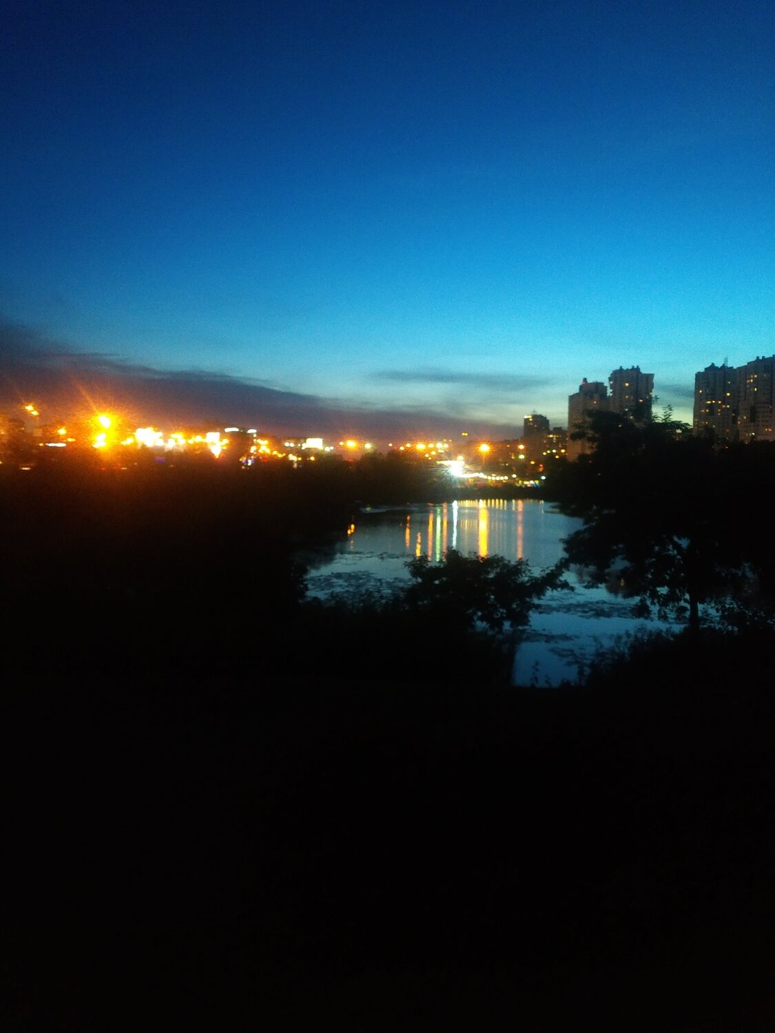Photo #3612365