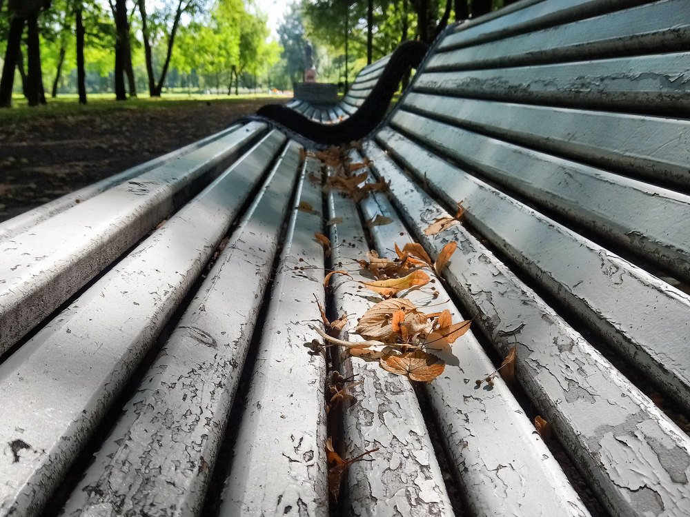 Фотография автора Александр Далла