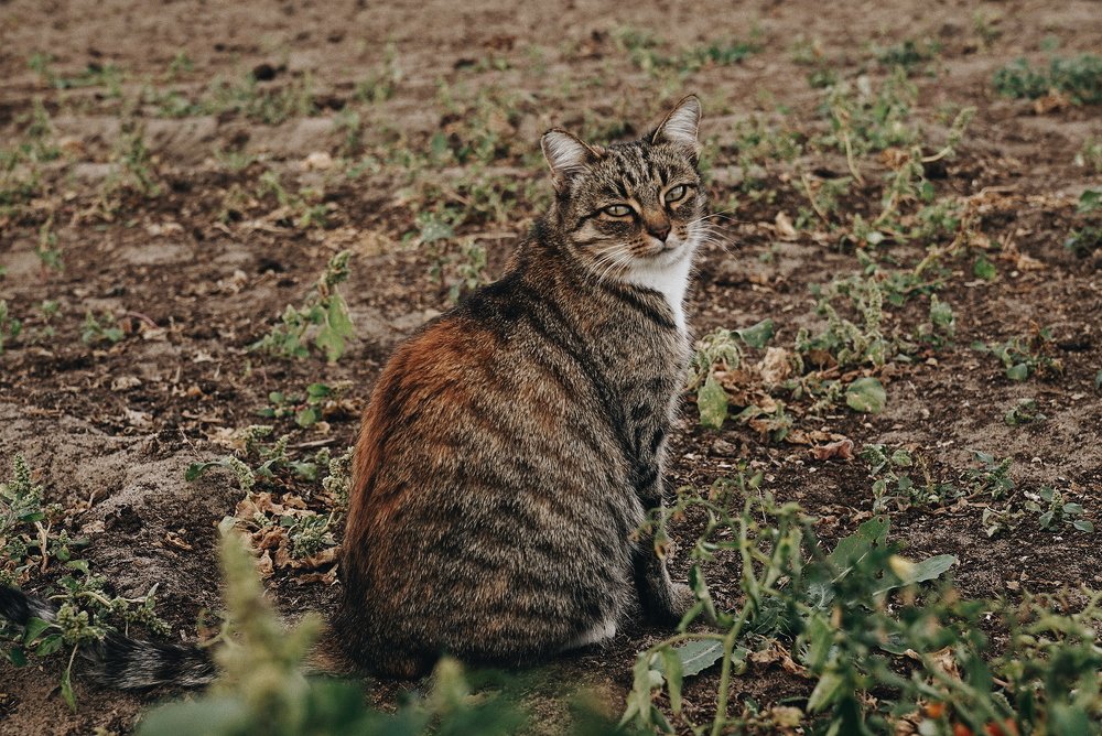 Photograph by Ксения Щербакова