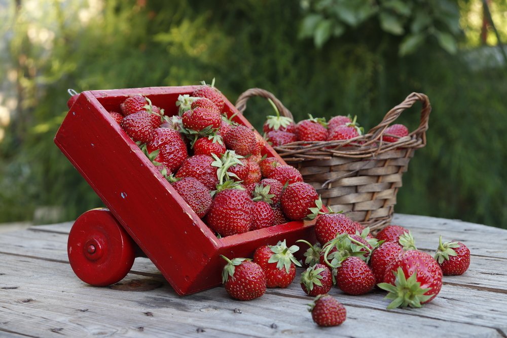 Клубничная страда