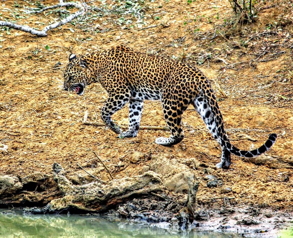 Photograph by Marine Sukiasyan