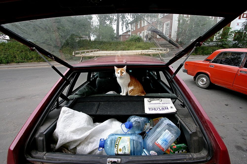 Photograph by Владимир Ларионов