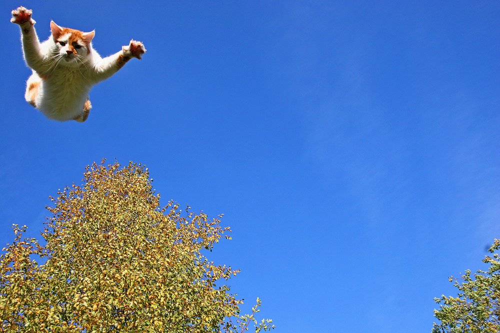 Photograph by Владимир Ларионов