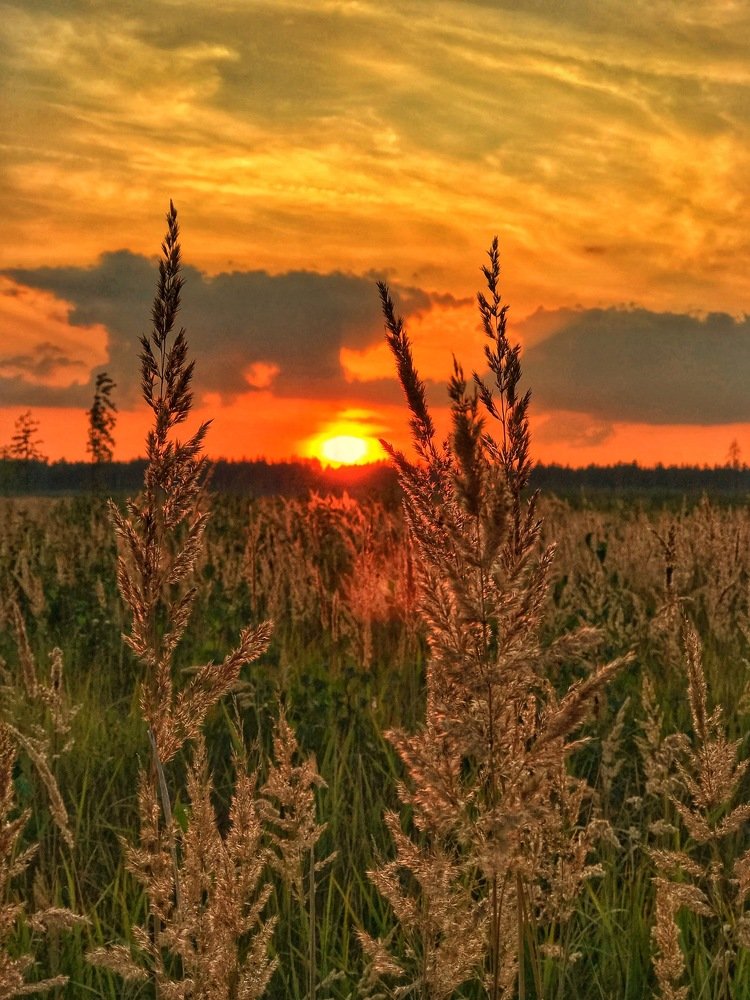 Photograph by Артур Григорян