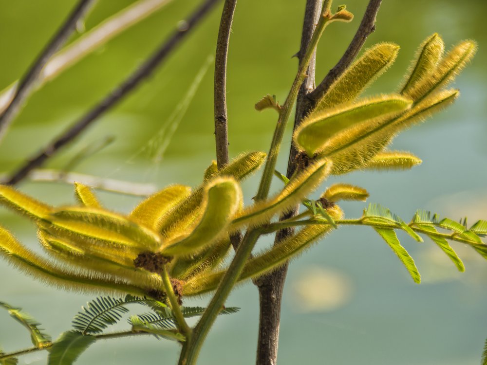 Фотография автора Cristina Wnetrzak