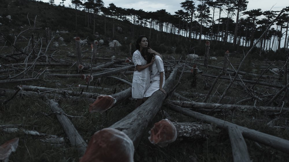 Photograph by Артём Корнев