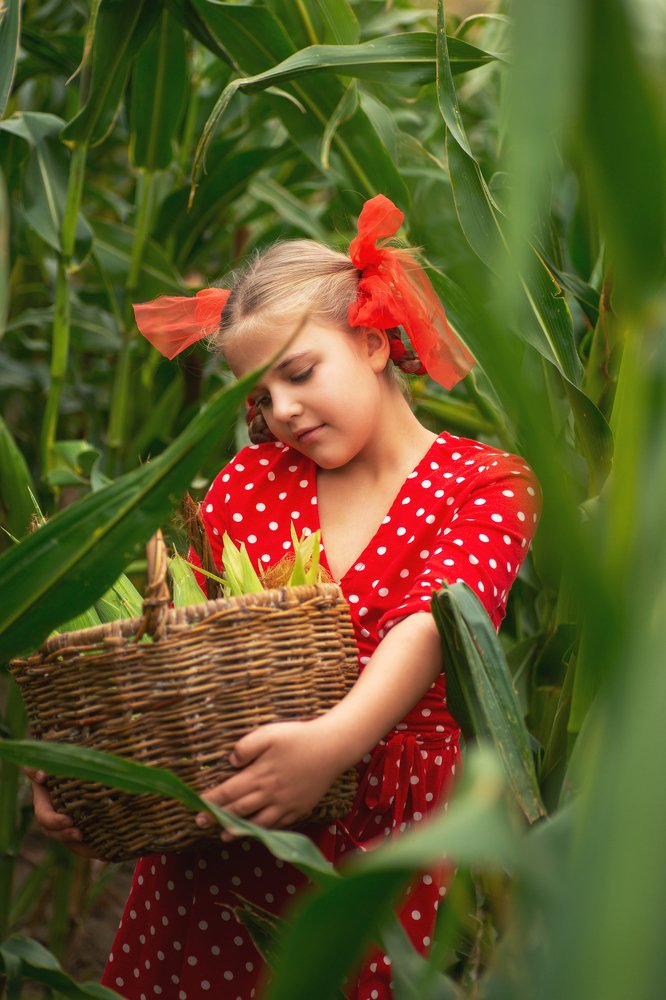 Photograph by Мария Немолот