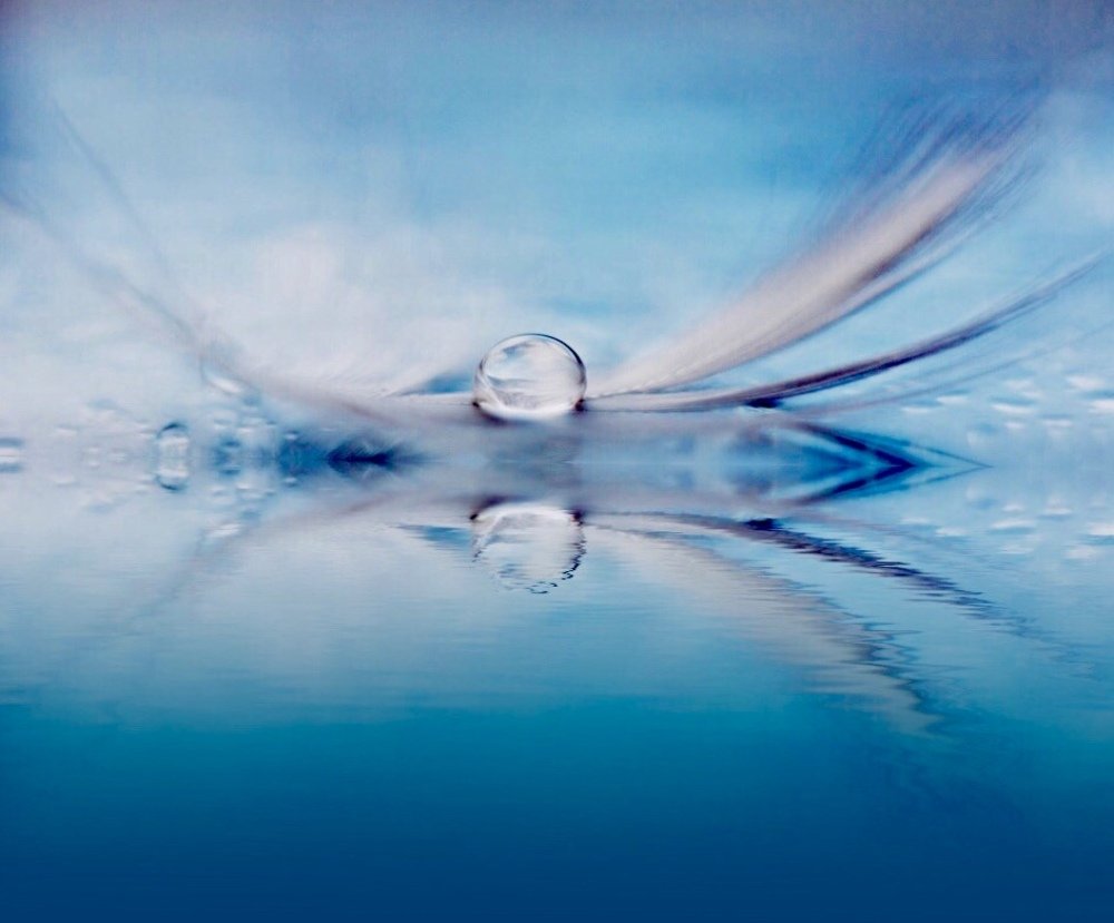 Photograph by Ксения Максименко