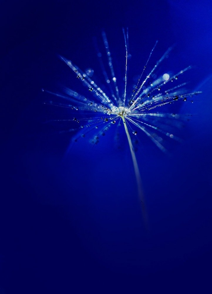 Photograph by Ксения Максименко