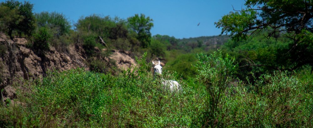 Photograph by Jorge Luis Bravo