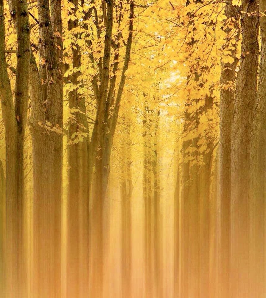 Растворившись  в тишине