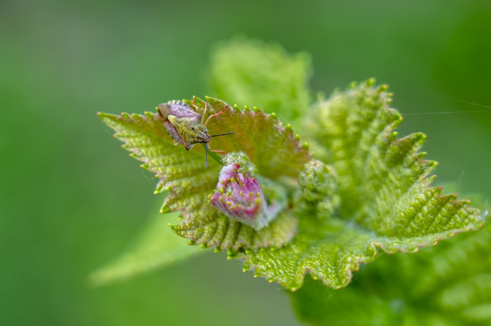 Photograph by Игорь Кляхин