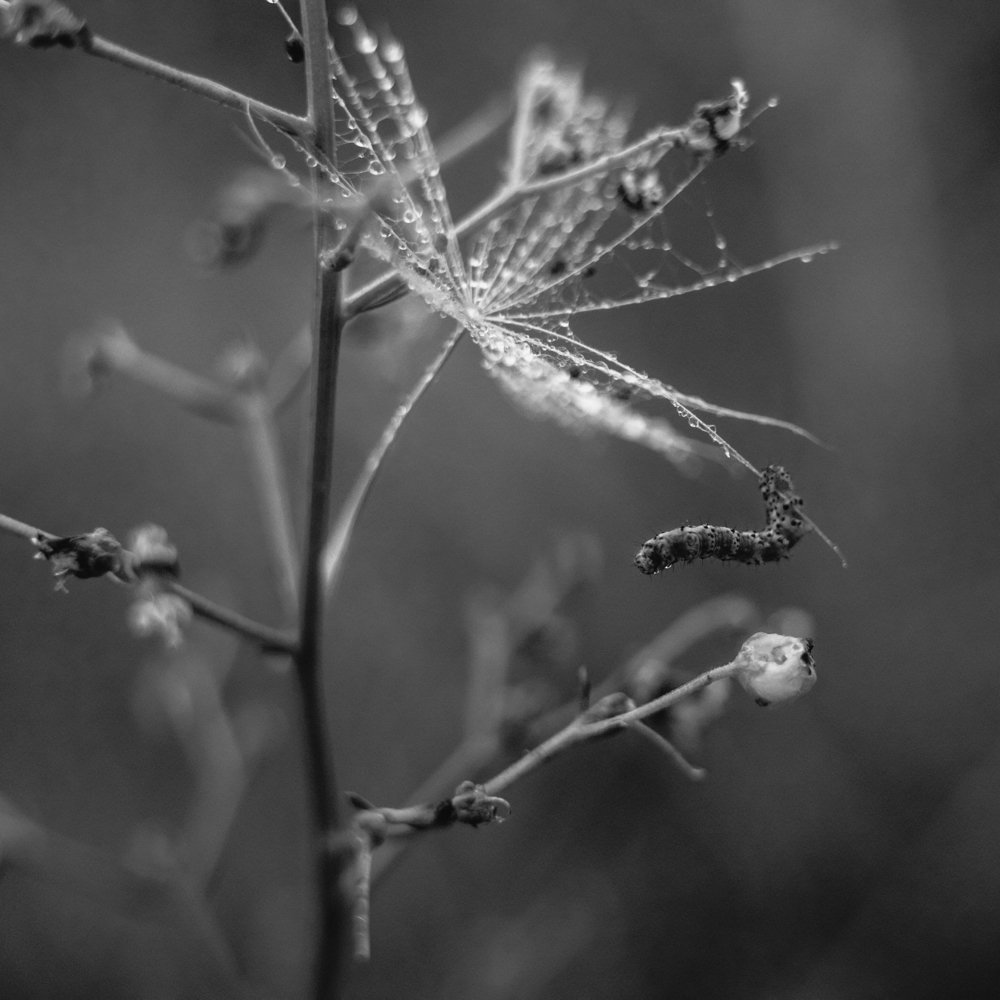 Photograph by Артём Корнев