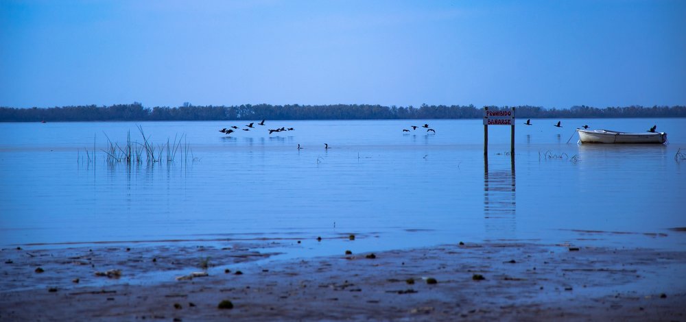 Photograph by Jorge Luis Bravo