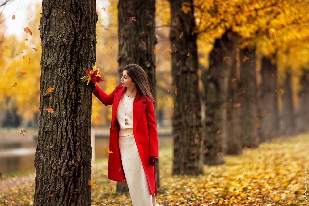 Золотая осень