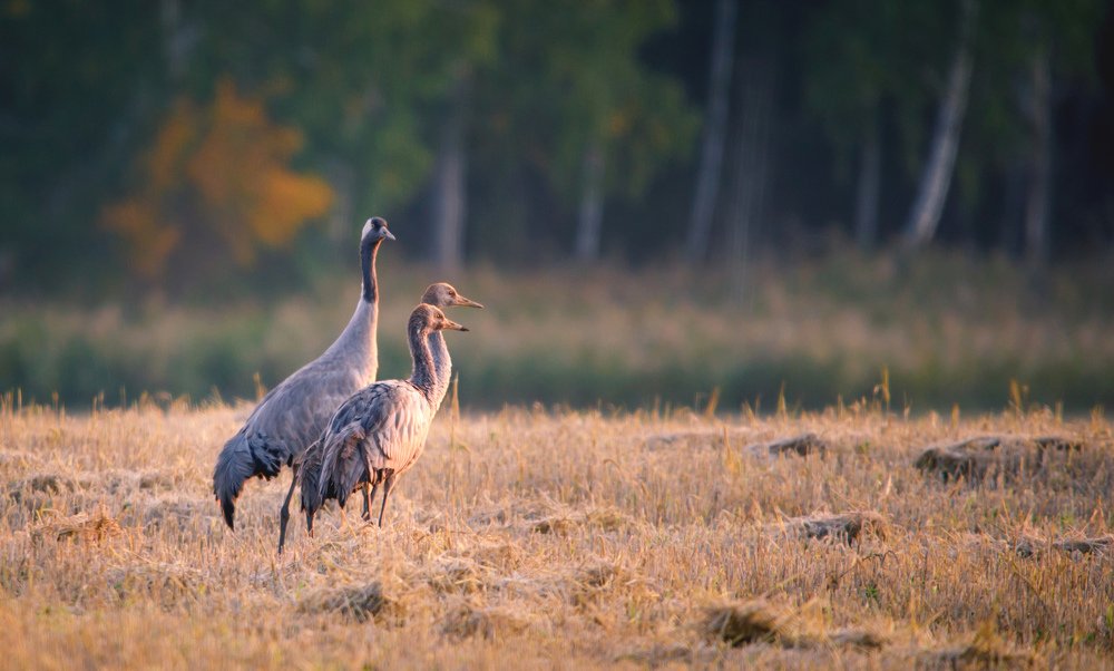 Photograph by Александр Денисюк