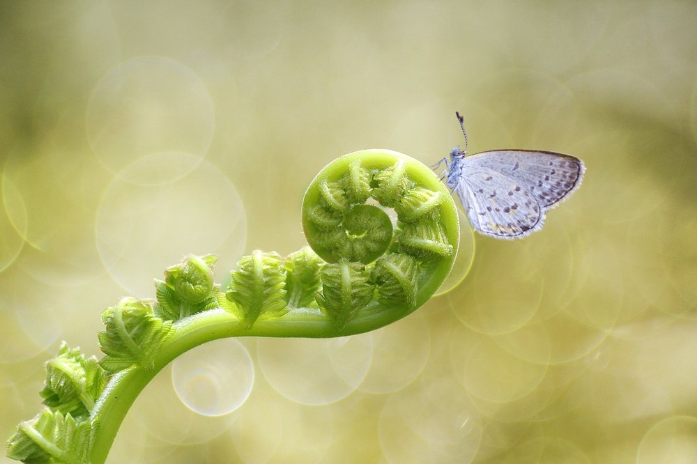 Photograph by Agus Wahyudi