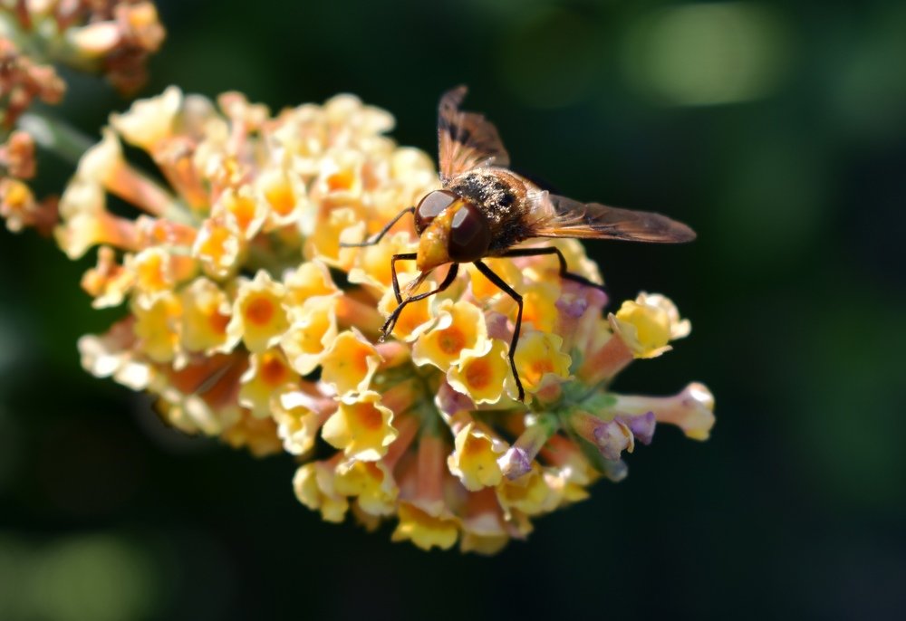 Photograph by Светлана Титова