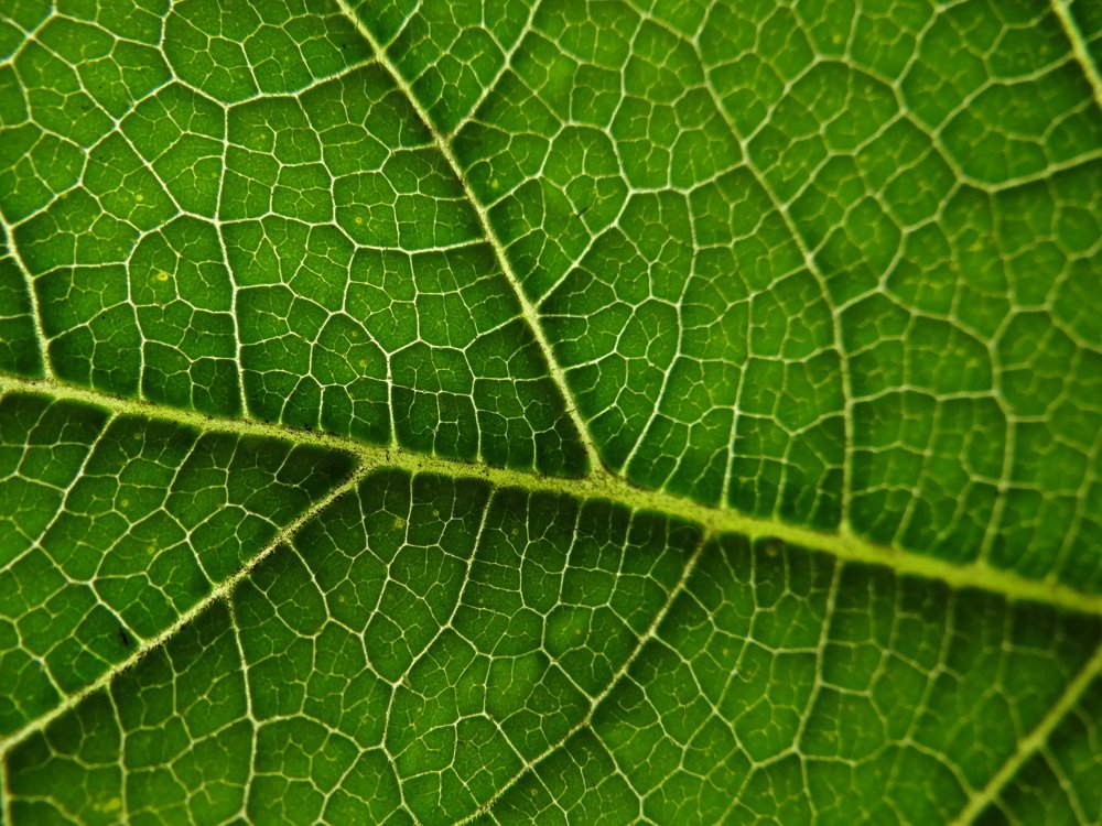 Фотография автора Jose Marcos Carvajal Tarazona