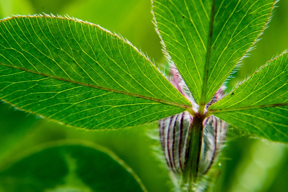 Фотография автора Jose Marcos Carvajal Tarazona