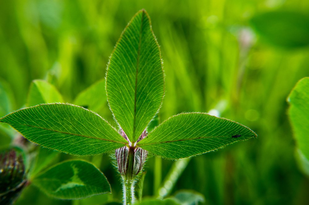Фотография автора Jose Marcos Carvajal Tarazona