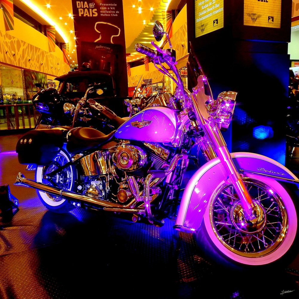 Photograph by Isaac Pimentel