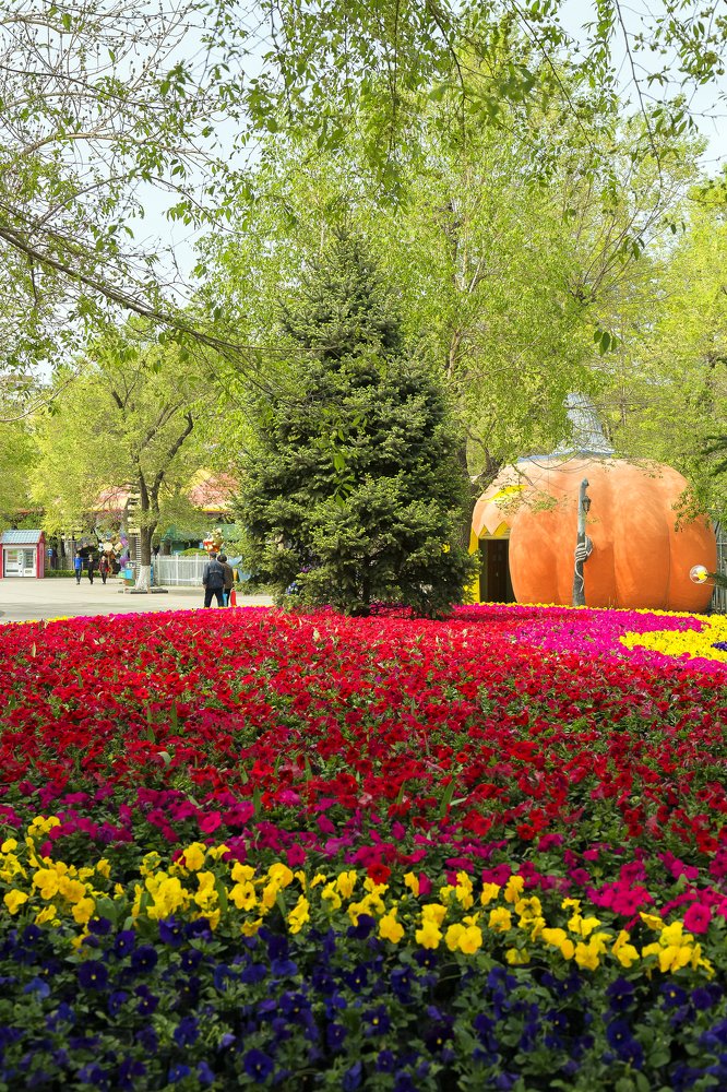 Цветы вокруг дерева.