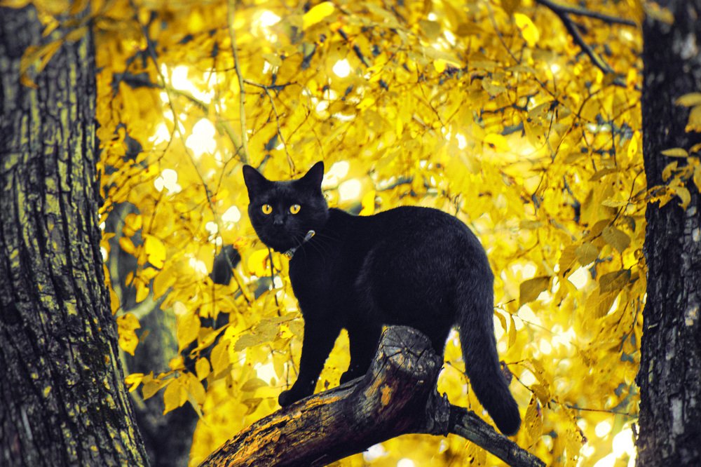 Photograph by Andrey Matveenko