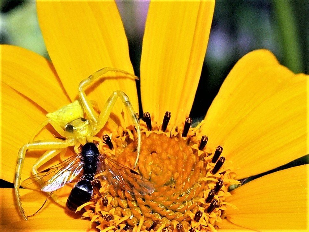 Photograph by Владимир