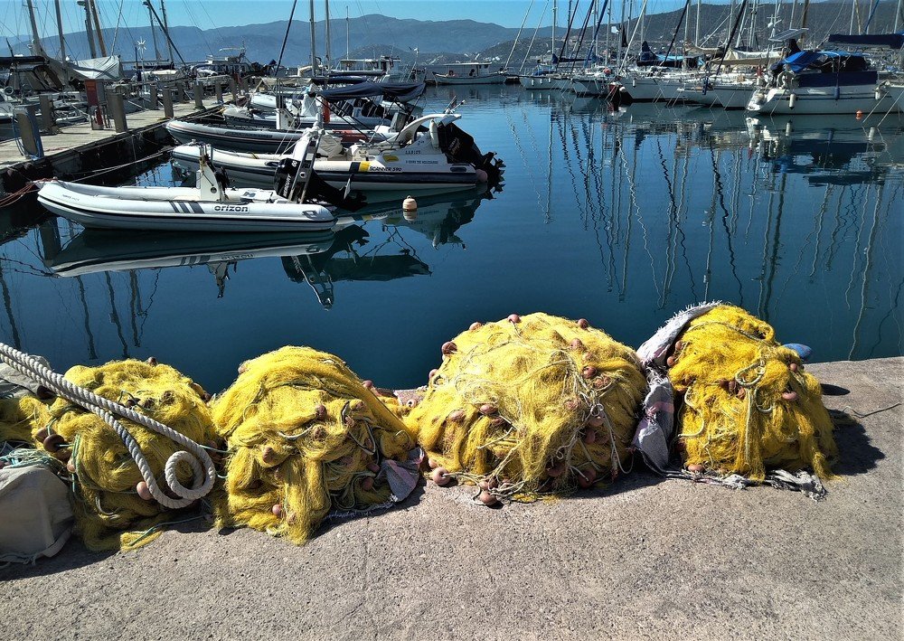 Photograph by Владимир