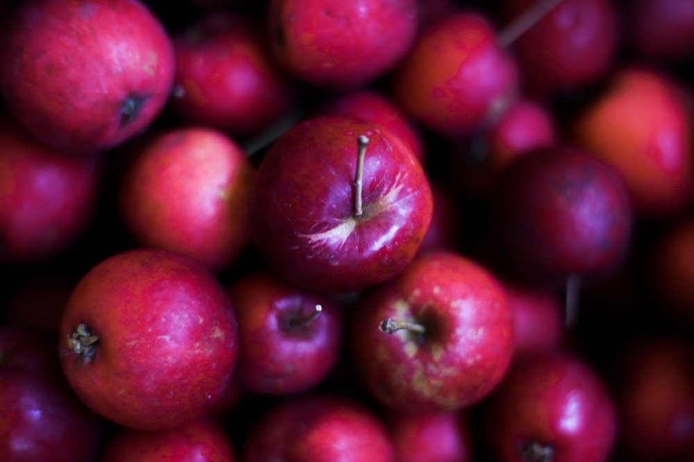 Photograph by Екатерина Мосунова